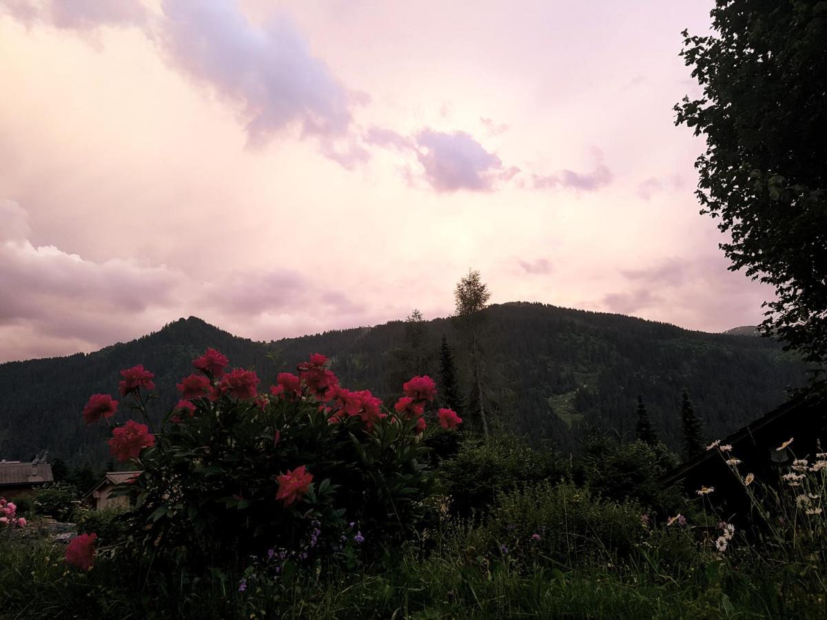 Le Castor Bed and Breakfast Morgins Exteriör bild