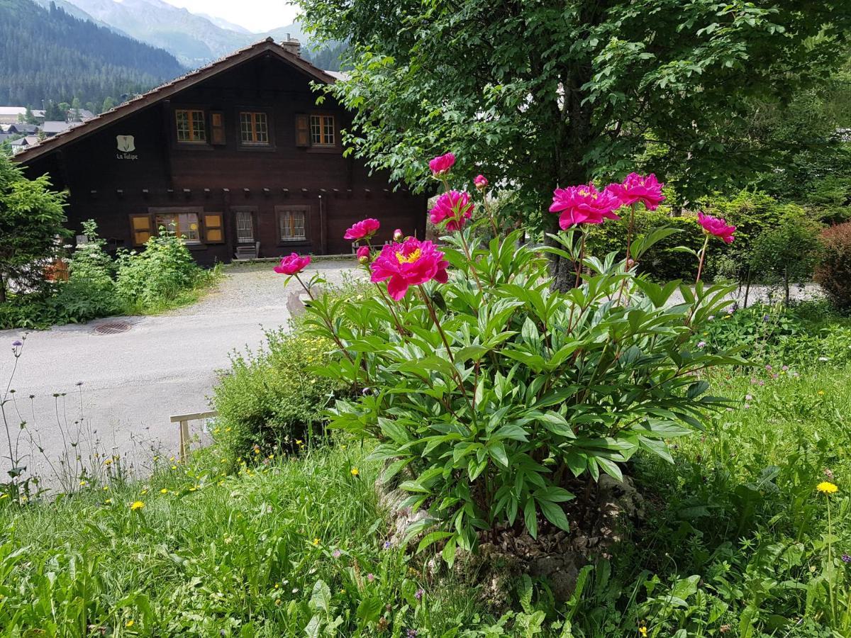Le Castor Bed and Breakfast Morgins Exteriör bild